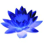 LotoBlu