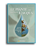 Le-piante-che-depurano-l'acqua